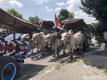 Puluhan Bajingan Muncul di Pusat Kota Jogja, Ada Apa?