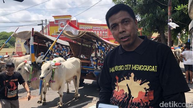 Puluhan bajingan beserta gerobak sapinya di dekat Stadion Kridosono, Kota Jogja, Senin (23/12/2024).