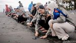 Puluhan Tukik Dilepasliarkan di Pantai Saba Bali