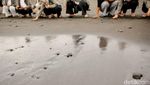 Puluhan Tukik Dilepasliarkan di Pantai Saba Bali