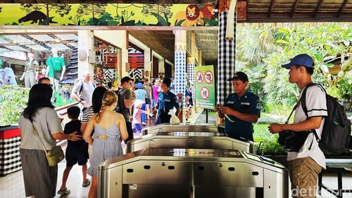 Sejumlah wisatawan mengunjungi Taman Safari Bali di Desa Lebih, Gianyar, Bali, Senin (23/12/2024). (Foto: Putu Krista/detikBali)