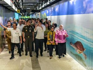 Melihat Tunnel TIJ-KBS Dilengkapi Video Mapping Satwa