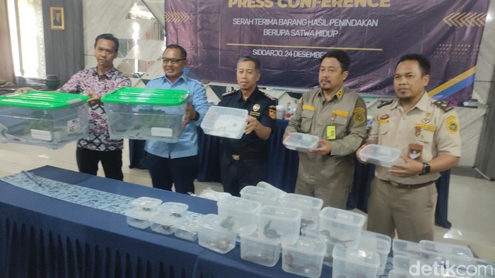 Bea Cukai Juanda gagalkan penyelundupan satwa ilegal ke Hong Kong
