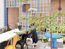 4 Kafe Pet Friendly di Bandung, Nongkrong Sambil Bawa Hewan Peliharaan