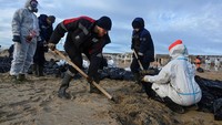 Ratusan relawan berjibaku menyekop berton-ton minyak lengket yang bercampur pasir dari garis pantai Laut Hitam Rusia setelah apa yang disebut Presiden Vladimir Putin sebagai bencana ekologi.