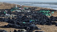 Bencana ini terjadi di daerah yang menjadi habitat penting bagi burung laut dan lumba-lumba. Salah satu lokasi yang paling parah terkena dampak adalah Anapa, resor wisata populer yang terkenal dengan pantai berpasir keemasan. 