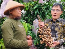 PPN Naik Jadi 12%, Budiman Sudjatmiko: Masyarakat Miskin Tak Terdampak