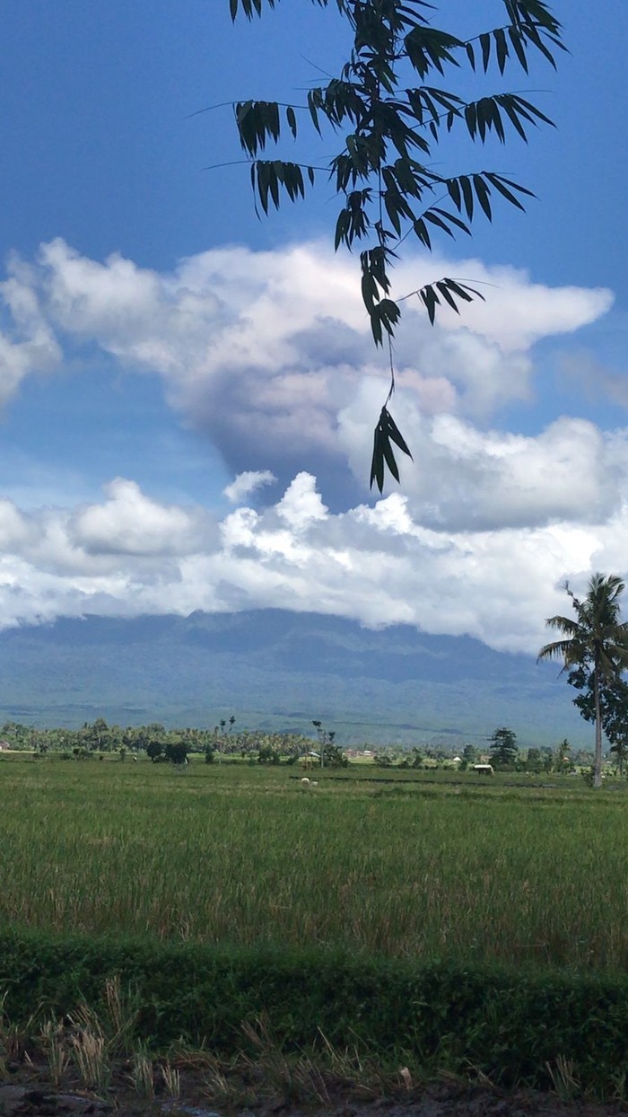 Gunung Raung erupsi