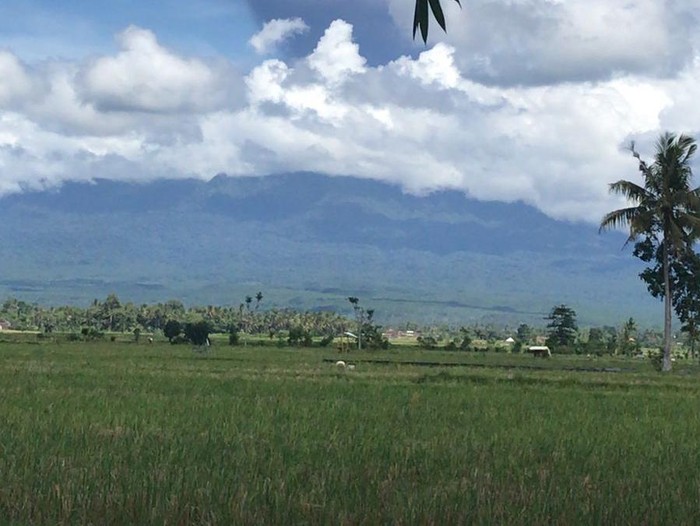 Gunung Raung erupsi
