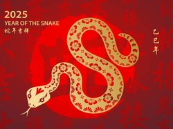 Keuangan Shio Ular Kayu Diprediksi Berkembang, Yuk Coba Peluang Ini!