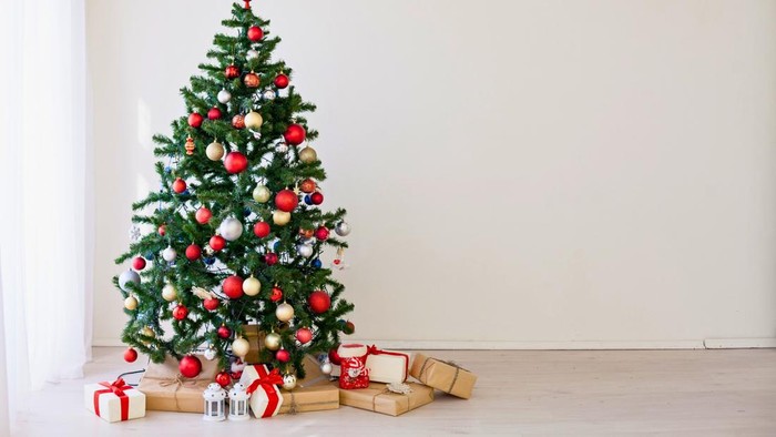The joy of Christmas begins to be felt, Merry Christmas from the Christmas tree in the living room