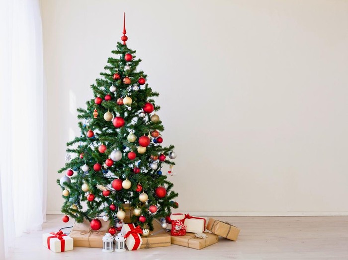 The joy of Christmas begins to be felt, Merry Christmas from the Christmas tree in the living room