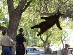 Kumpulan Foto Random yang Bikin Nyengir, Cocok Jadi Meme