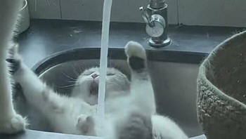 Lah, nyala. Foto: Images That Could Be Album Covers via Bored Panda