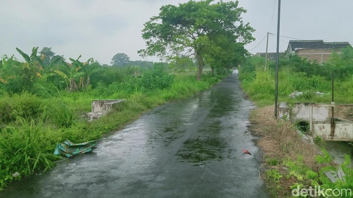 Lokasi kejadian di jalan Desa Troso-Sumberejo, Kecamatan Karanganom, Klaten, Selasa (24/12/2024).