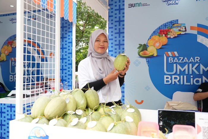 Melon premium asal Temanggung