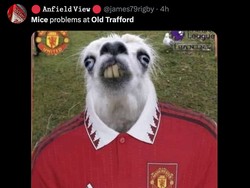 Lagi-lagi Fernandes dicap mirip tikus karena gigi bagian depannya agak besar mirip gigi tikus. (Foto: Twitter @james79rigby)