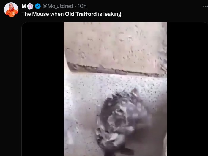 meme,stadion old trafford,tikus,tikus di old trafford,manchester united,man united,man utd,mu,meme mu,meme manchester united