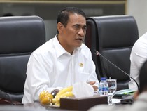 Mentan Minta Tambahan Anggaran Jadi Rp 44,6 T buat Cetak Sawah-Genjot Produksi
