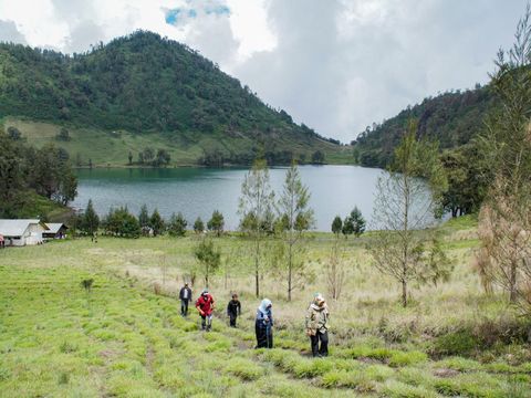 Sejumlah petugas mendaki Tanjakan Cinta di Kawasan Taman Nasional Bromo Tengger Semeru (TNBTS), Lumajang, Jawa Timur, Senin (23/12/2024). Menteri Kehutanan bersama, Dirjen KSDAE dan Kepala Balai Besar TNBTS secara resmi membuka kembali pendakian Gunung Semeru yang dibatasi hingga Ranu Kumbolo dengan untuk kuota 200 orang per hari serta batasan usia minimal 10 tahun dan maksimal 70 tahun. ANTARA FOTO/Irfan Sumanjaya/wpa.
