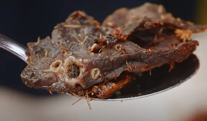 Petai dan Paru Goreng Disebut Makanan Paling Tidak Enak dari Malaysia Petai dan Paru Goreng Disebut Makanan Paling Tidak Enak dari Malaysia