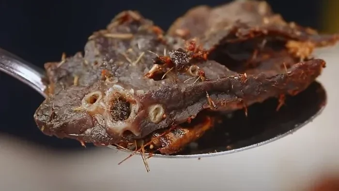 Petai dan Paru Goreng Disebut Makanan Paling Tidak Enak dari Malaysia