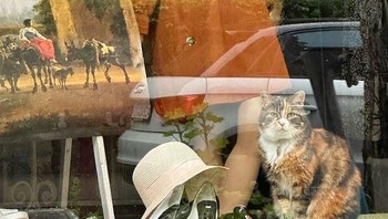 Pura-puranya menyamar jadi patung. Foto: (Bored Panda).