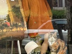 Potret 15 Kucing Tertangkap Kamera Saat Santai di Jendela, Lucu-lucu Deh