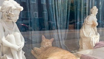 Kurang bangtal aja sih kayaknya. Foto: (Bored Panda).