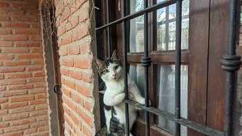 Ini termasuk sedang bersantai atau terjepit ya. Foto: (Bored Panda).