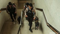 Pantauan detikcom sejumlah personel Gegana tiba di lokasi sekitar pukul 13.00 WIB dengan membawa anjing pelacak.
