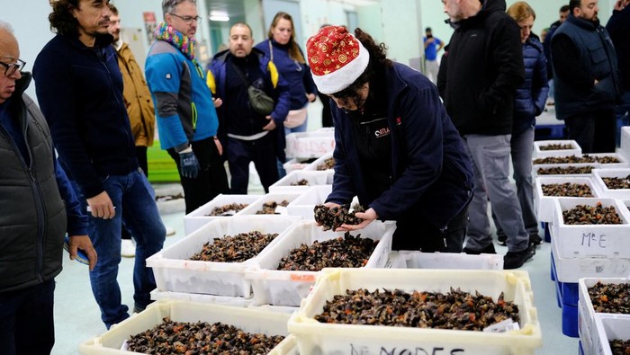 Adriana, 31, buys boxes with barnacles in front of Israel Martinez, an auctioneer, that were caught off the Atlantic coasts of Galicia during an auction ahead of Christmas celebrations in the port of Coruna, Spain December 21, 2024. REUTERS/Nacho Doce, Spain