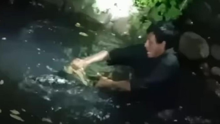 Viral pria di Makassar tangkap ular di kanal saat banjir.