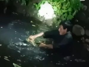 Pria di Makassar Terjun ke Kanal Tangkap Ular Piton 3 Meter Saat Banjir