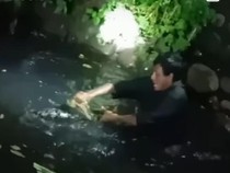 Pria di Makassar Nyemplung Air Tangkap Piton 3 Meter Pakai Tangan Kosong