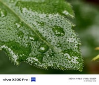Vivo X200 Pro