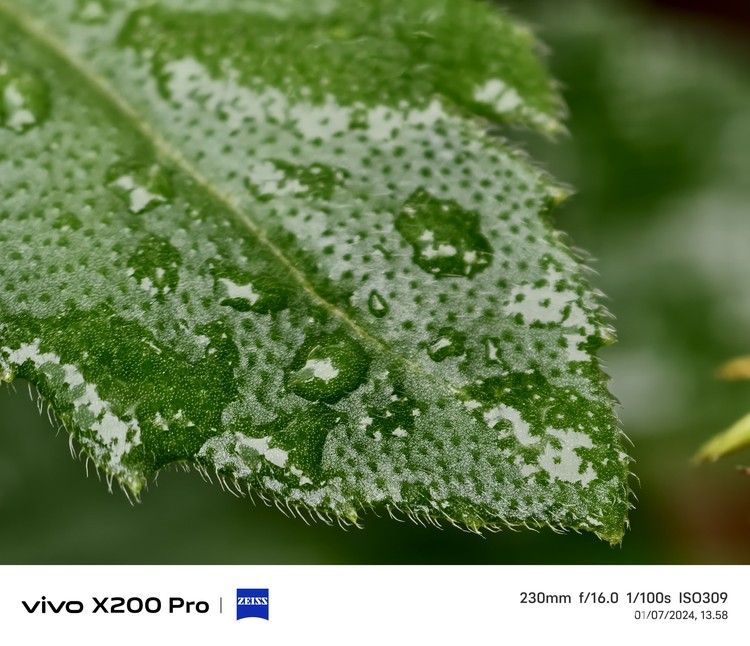 Vivo X200 Pro