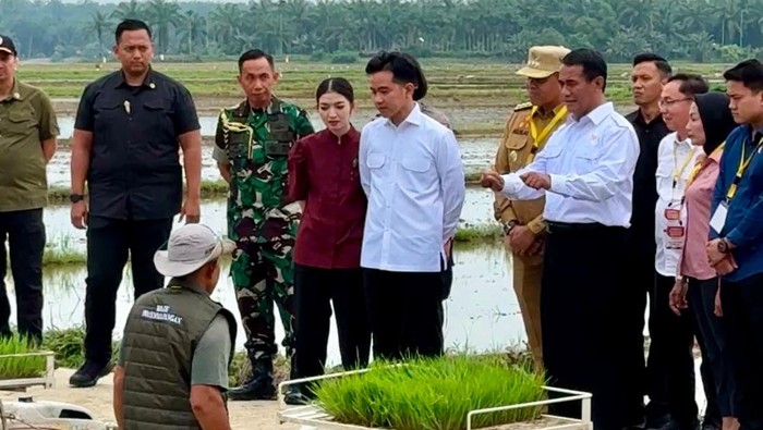 Wapres dan Menteri Pertanian