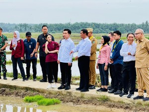 Dukung Ketahanan Pangan, Wapres Gibran-Mentan Amran Tanam Padi di Langkat