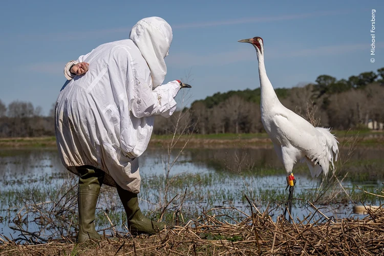 Wildlife Photographer of the Year 2024 Wildlife Photographer of the Year 2024
