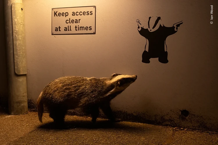 Wildlife Photographer of the Year 2024 Wildlife Photographer of the Year 2024