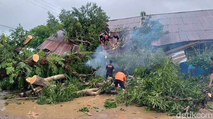 2 ruang kelas SDN 31 Binanga Polo di Pangkep rusak tertimpa pohon.