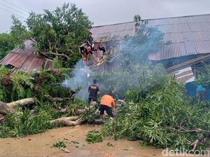 2 Ruang Kelas SD di Pangkep Rusak Berat Tertimpa Pohon Tumbang