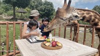 Ini momen seru Atiqah ketika menikmati sarapan bersama jerapah. Mereka menikmati buah dan aneka roti. Foto: Instagram @atiqahhasiholan