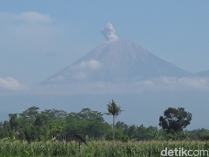Resmi Dibuka, Ini Syarat dan Ketentuan Pendakian Semeru 2026