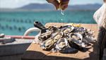 Tur Ini Ajak Pesertanya Makan Tiram Segar Tepat di Tengah Laut