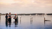 Pengalaman tak terlupakan ini bisa didapatkan di Coffin Bay. Di mana para pengunjung akan diajak langsung ke dalam peternakan tiram yang ada di tengah laut. Foto: Site/Pool
