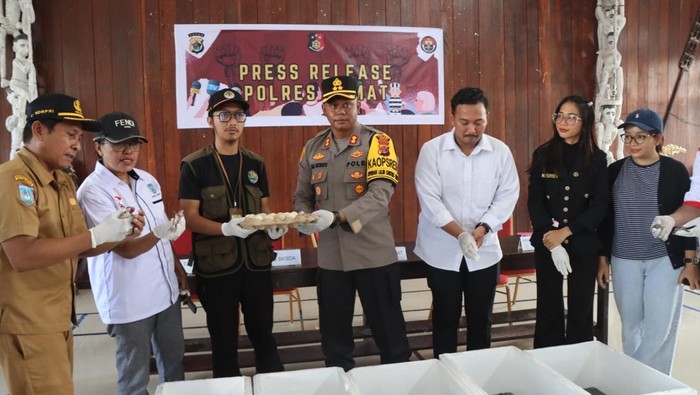 Pengungkapan perdagangan ilegal ribuan labi-labi moncong babi di Kabupaten Asmat. Dokumen Istimewa