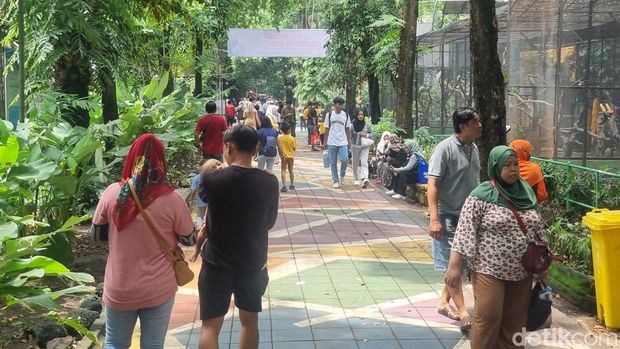 Pengunjung KBS pada libur Natal 2024.