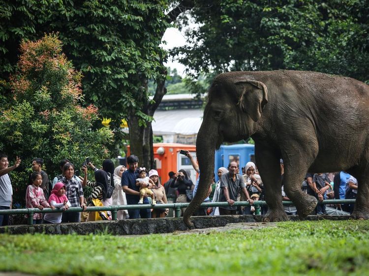 Ramainya Pengunjung Ragunan Saat Libur Natal